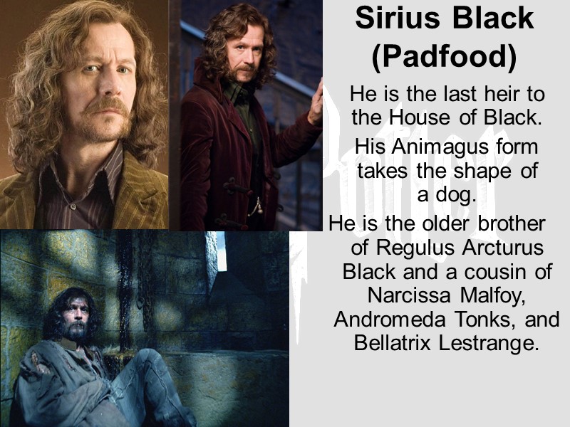 Sirius Black (Padfood)  He is the last heir to the House of Black.